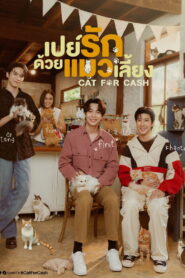 Cat for cash